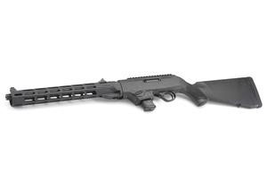 19116